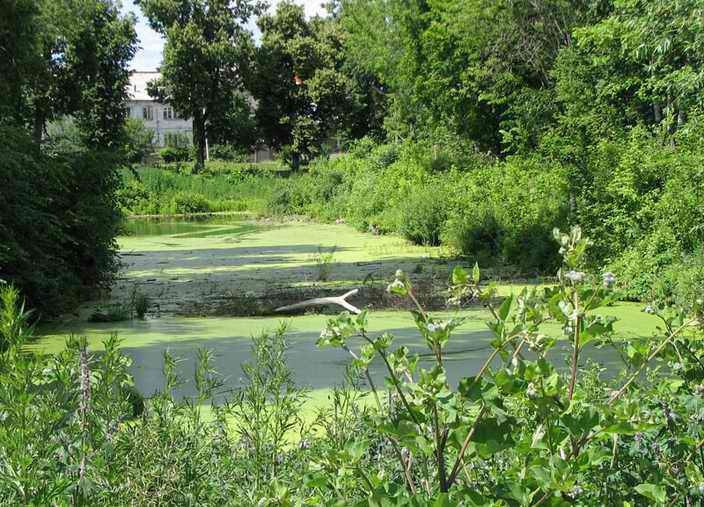 Елатьма. Бывш. крепостной ров, ныне - пруд.