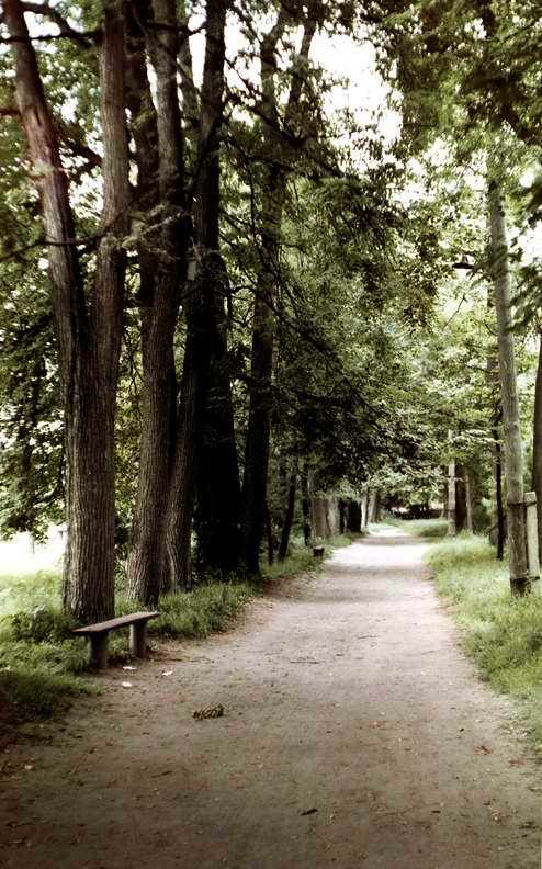 Елатьма. Городской бульвар.