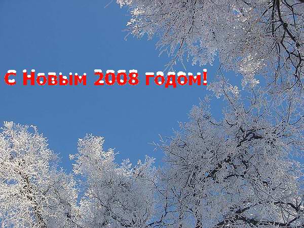 Фото Н.А.Егоровой