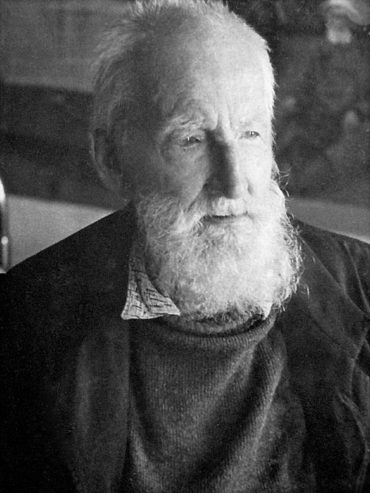 Николай Егорович Волков.